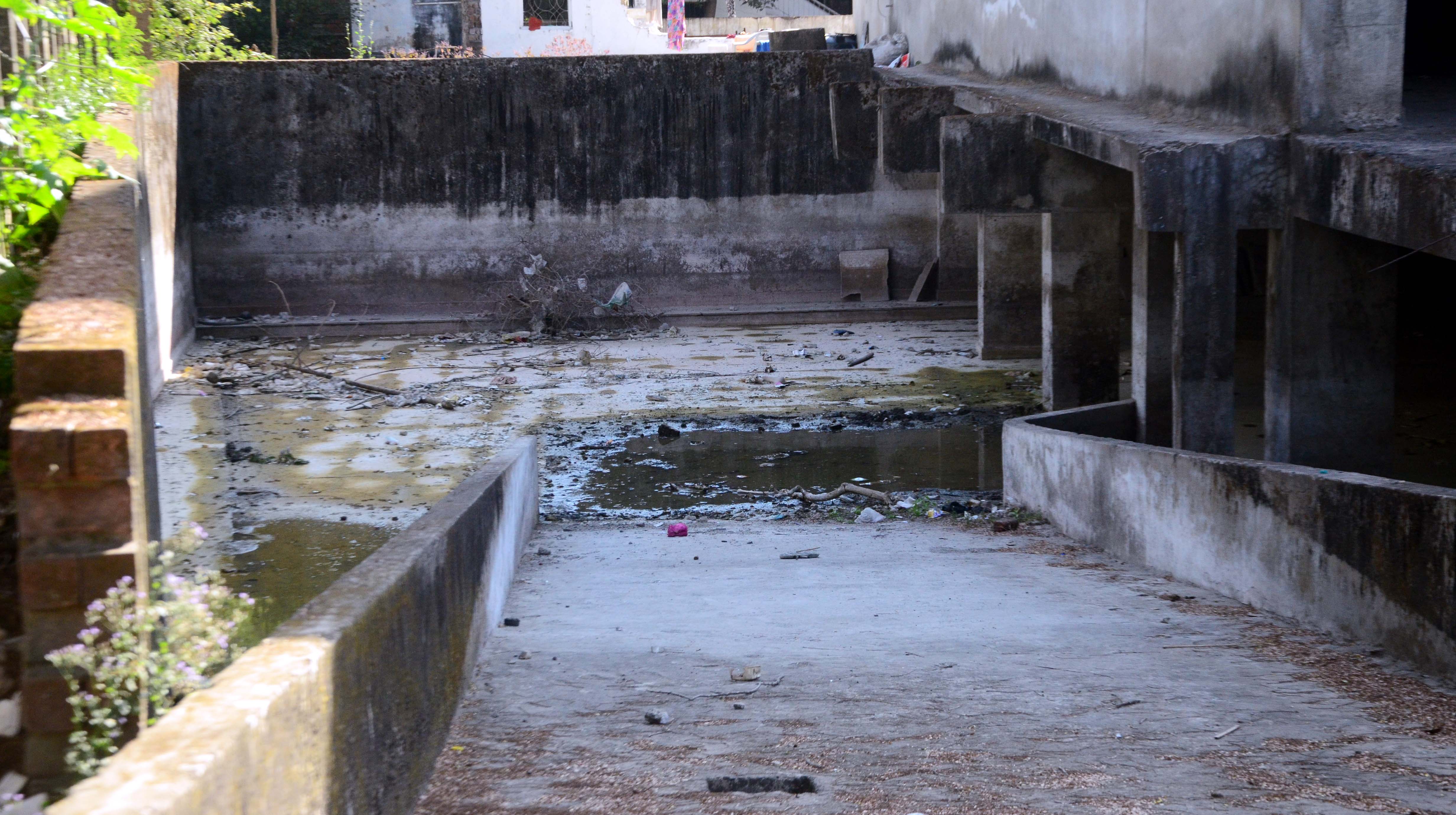 Bhopal Mosquito Sanctuary A Major Concern Of Apex Bank Colony S Residents