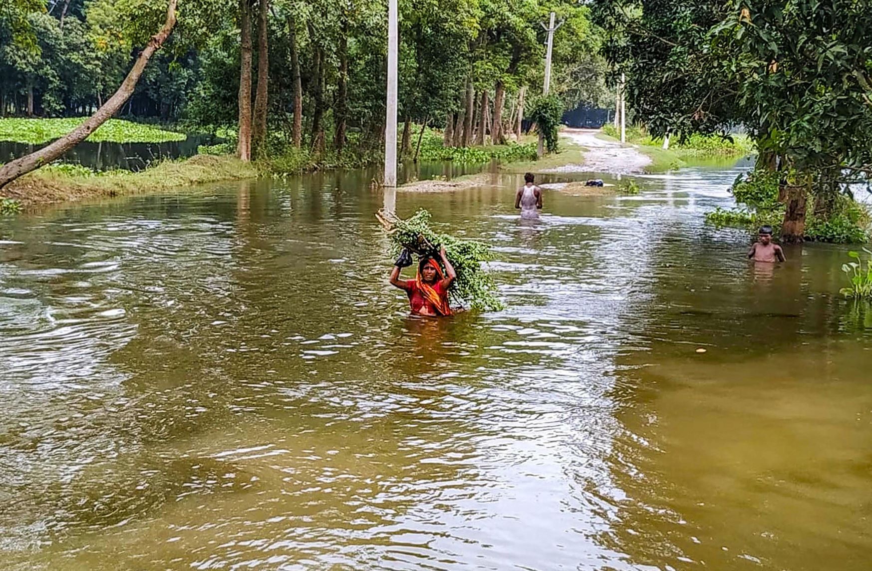 ब ह र इस स ल र ज य म ब ढ स बर ब द ह आ 7 54 ल ख ह क ट यर फसल क ष त र