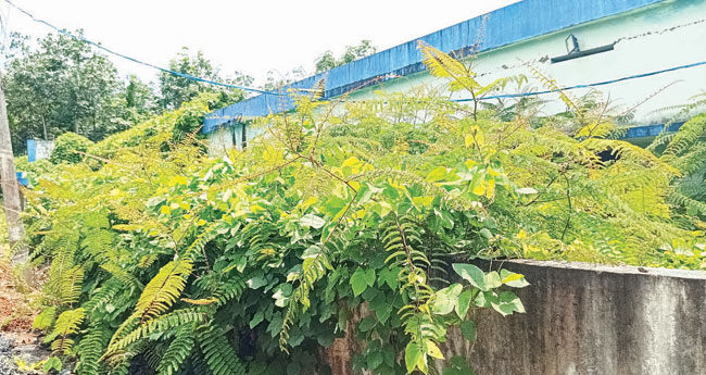 The Neglected Water: Erumeli's Battle for Cleanliness and Hygiene