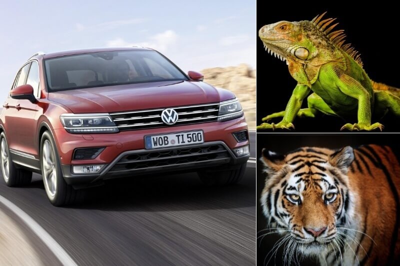 Five Popular Cars In India With Animal Names - Pictures & Details