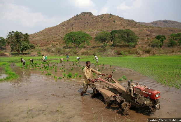 land reforms fail; 5% of india's farmers control 32% land