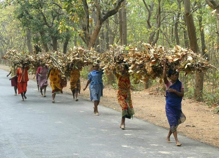 Nearly 20 Lakh Tribals Vulnerable to Eviction Thanks to Supreme Court Order