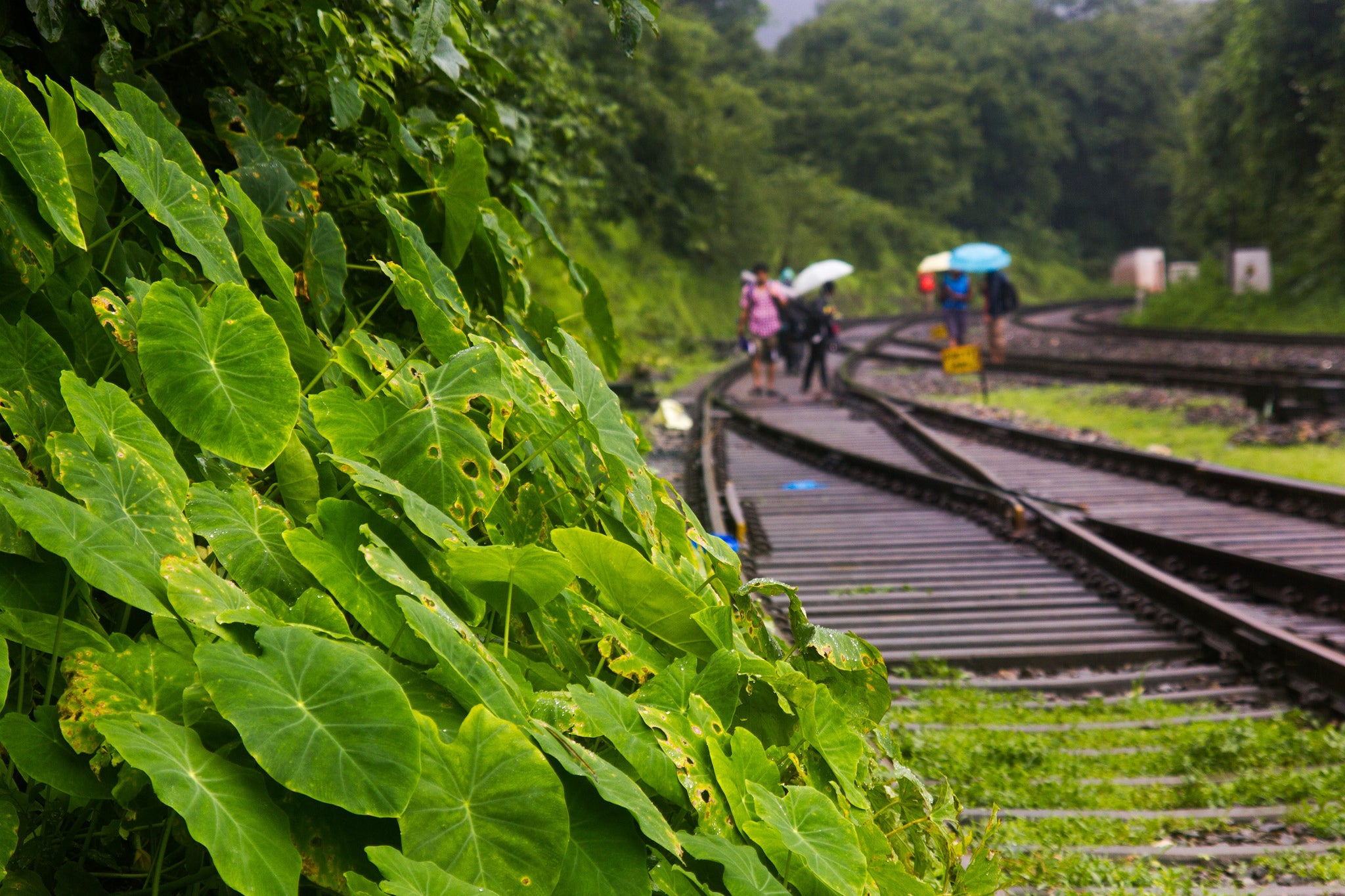 monsoon arrives in india approximately in
