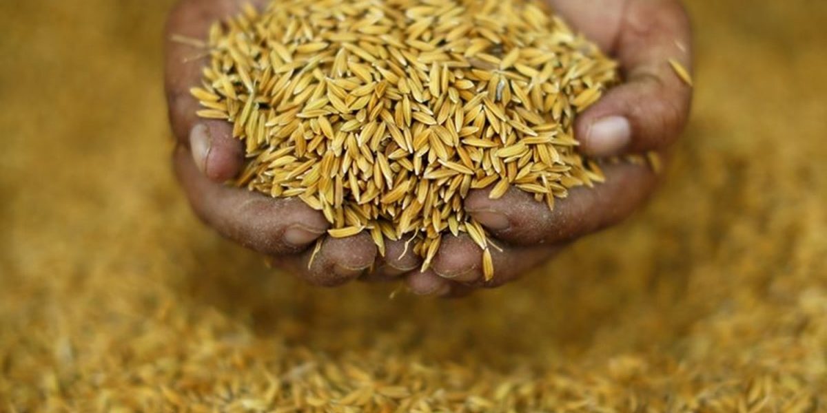 Free Food Grain Scheme Does Not Mean That We Do Not Have To Worry About Hunger