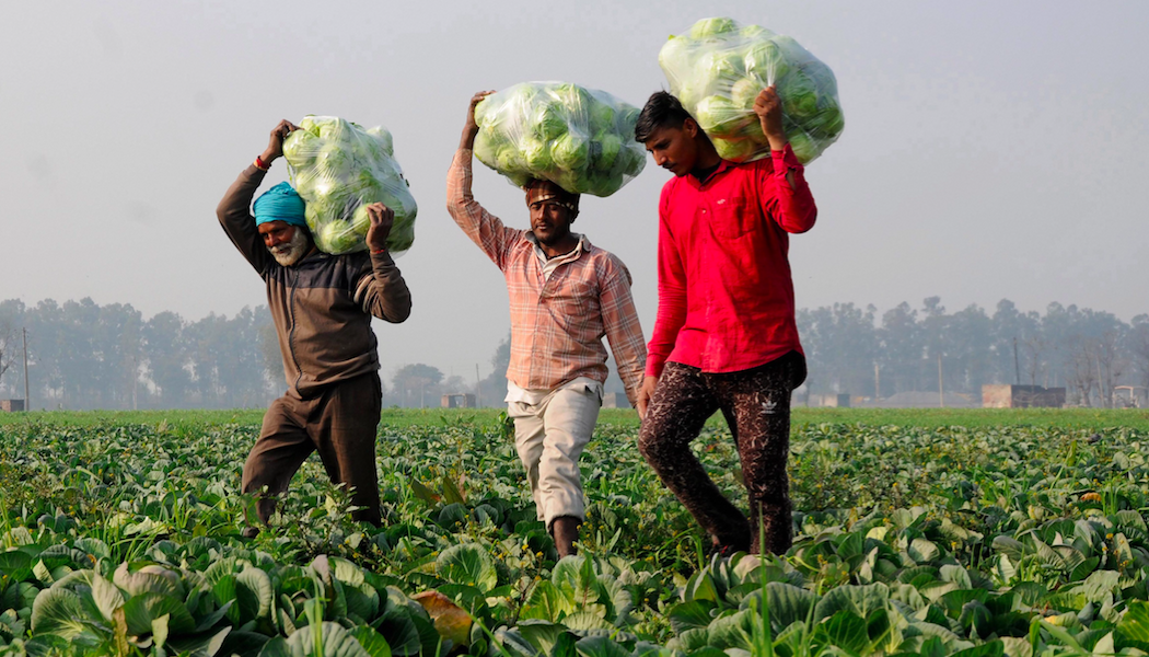 What Can The Centre Learn From How States Are Managing Their Own Crop Insurance Schemes