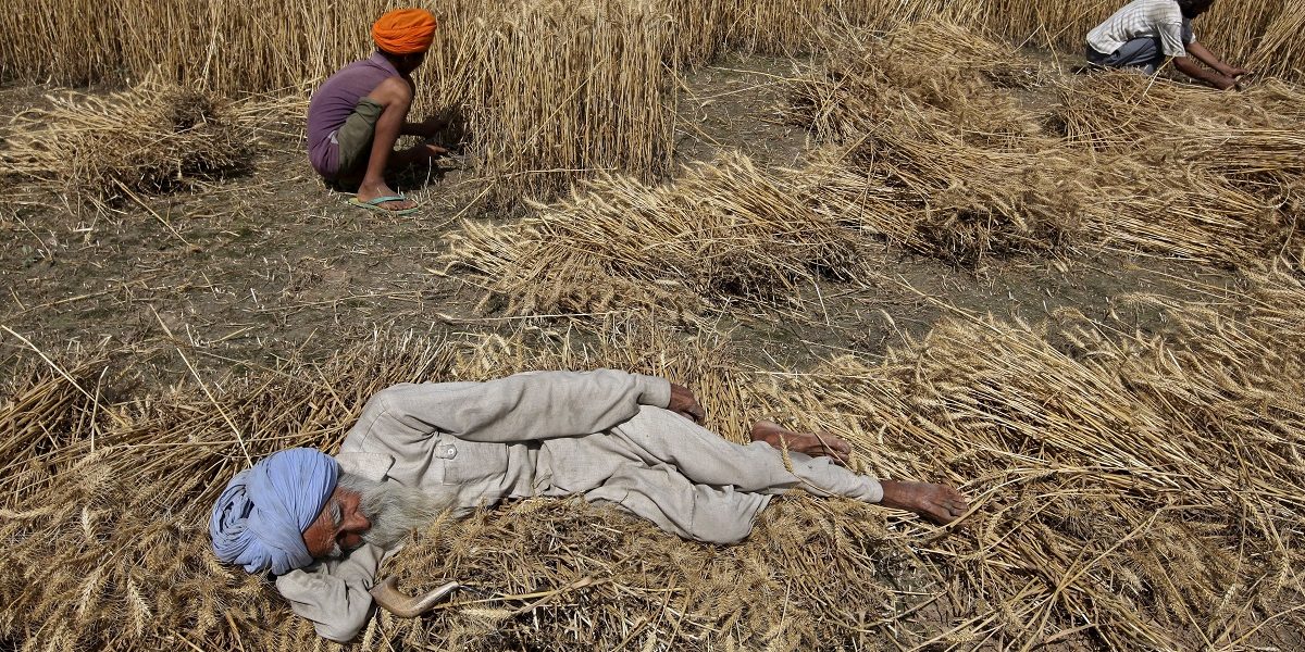 thewire.in - Pukhraj Singh - The Farm Law Protests Could Whitewash the Blatant Inequality of Rural Punjab