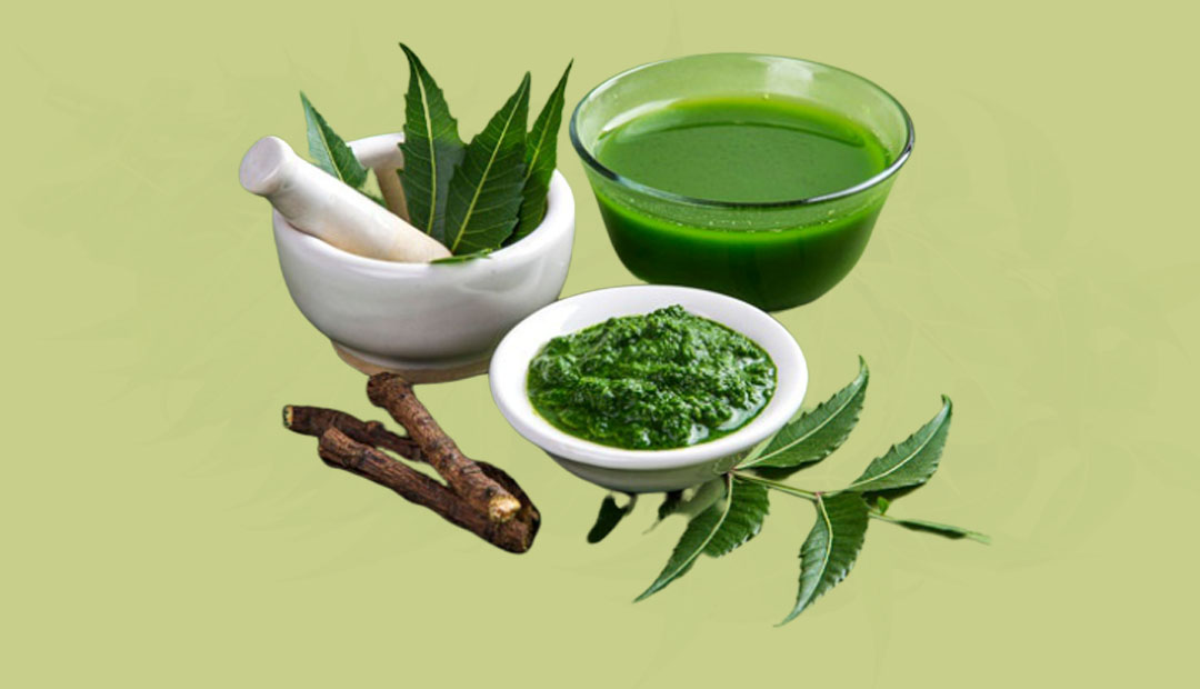 ত্বকের যত্নে তুলসি ও নিমপাতার ব্যবহার