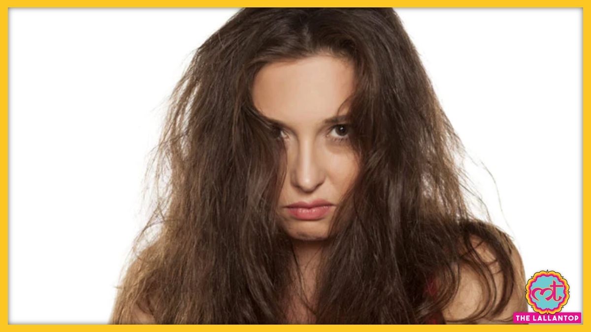 फरज और घघरल बल क लए हयर ऑयल 7 Best Hair Oils For Curly Frizzy  Hair In Hindi